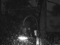 [하라다+우츠기] 우리가 늙고 나서