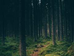 [에렌히카] 삑사리