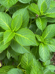 글에 대한 tmi 및 후기