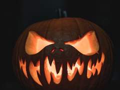 [뜰팁] 잭오랜턴 씨 살인 사건