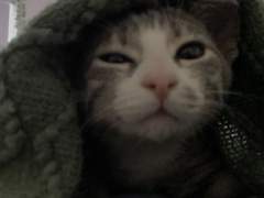 나 좋아하는 정재현 선배 TALK +