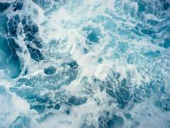 그럼에도 불구하고,