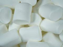 [조야여국] 마시멜로 실험