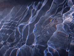 뒤늦게 뱉은 진심.