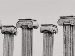 클레오 라이/서포트/20