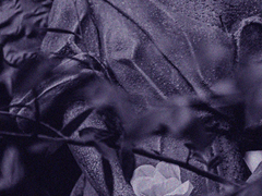 뱀 Pre-Eden Snake 【06】