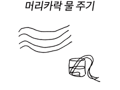 머리카락 물 주기