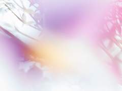 𝙻𝚘𝚟𝚎 & 𝙻𝚒𝚎 𝟺