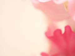 𝙻𝚘𝚟𝚎 & 𝙻𝚒𝚎 𝟹