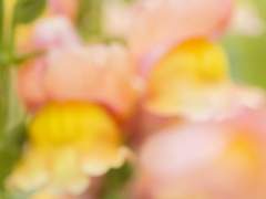 𝙻𝚘𝚟𝚎 & 𝙻𝚒𝚎 𝟻