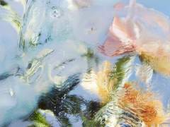 𝙻𝚘𝚟𝚎 & 𝙻𝚒𝚎 𝟸