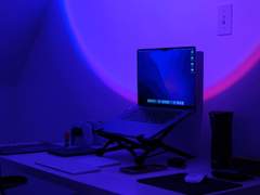 3년차 게임 방송 새싹