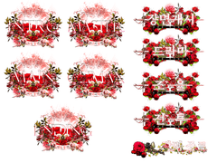 마기카로기아 매크로