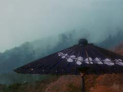 검은 날개 사이로 보이는 차가운 붉은색 눈동자