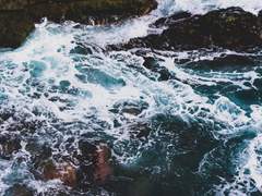 2022년 가을, 波.