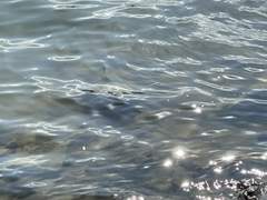 𝑳𝒐𝒗𝒆𝒔𝒕𝒓𝒖𝒄𝒌 - 3