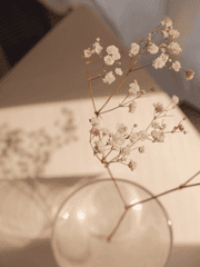 To the Moon and Back ; 밀문대 전단지