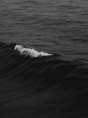 환각적 절망의 기원