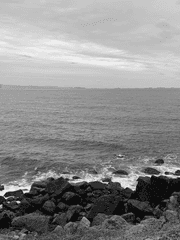 異邦人(이방인)