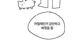 초딩때 햄스터 산책시킨 만화