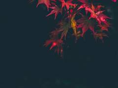 [은백] 단문 모음