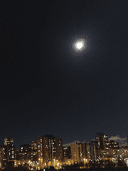 뜰님 상황극 단편 소설