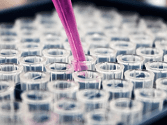 동물과 인간,그 사이 우리. 0화