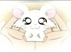 [주술회전] 까만 해바라기 씨