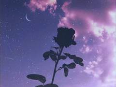 ♡𝗛𝗮𝗽𝗽𝘆 𝟮𝗻𝗱 𝗮𝗻𝗻𝘆𝘃𝗲𝗿𝘀𝗮𝗿𝘆♡