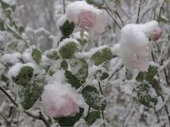스치면 인연 스며들면… 스폰지밥