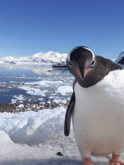 [ 하이큐 단편, 장편 연재 풍력발전소 ]