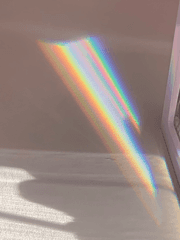 레인보우 딜레마