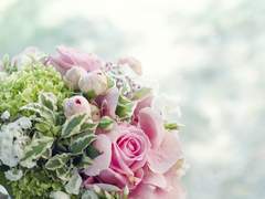 [린네안즈]: 꽃다발의 주인은 누구인가요?