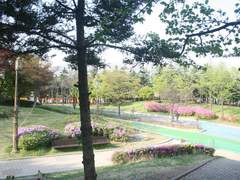 느림의 미학: 뚜벅뚜벅 걷다