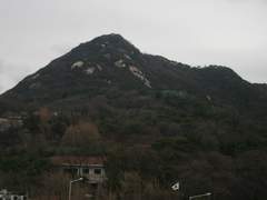 느림의 미학: 뚜벅뚜벅 걷다