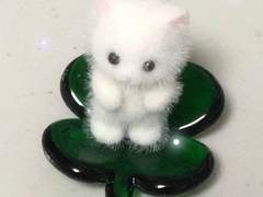 🦋3달만에 72kg -> 58kg 만든 방법🦋