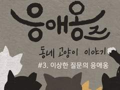 03. 이상한 질문의 응애옹