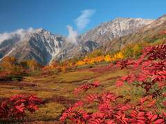 후지 슈스케는 가을이 싫다