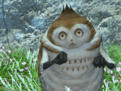 관찰 대상 노토스 666호