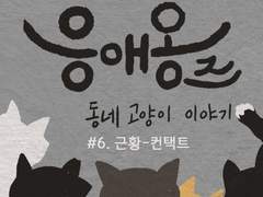 06. 근황-컨택트