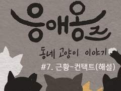 07. 근황-컨택트(해설)