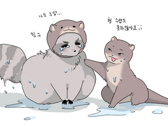 보송보송