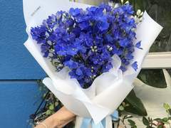 Delphinium? 에필로그