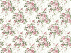 끝이라고 생각했다.