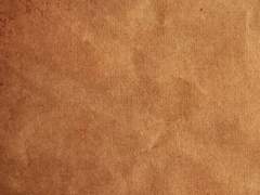 위자드 펌킨파이 (1/2)