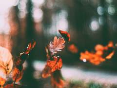 아무것도 남지 않은 이야기