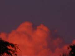 그날따라 유독 바람이 간지러운 것이