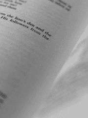 그들은 사랑을 하고 있다