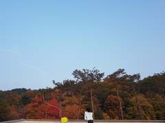 완연한,, 가을,,^^