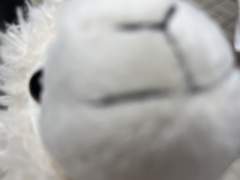 너를 사랑하고 있어